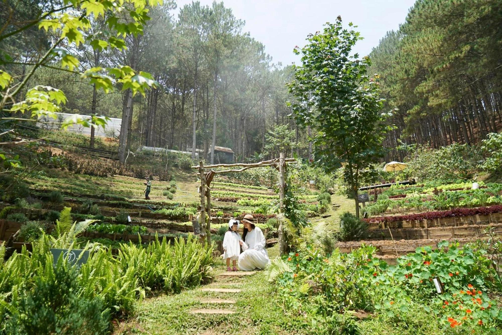 Mo Stay - Forest Resort 달랏 외부 사진