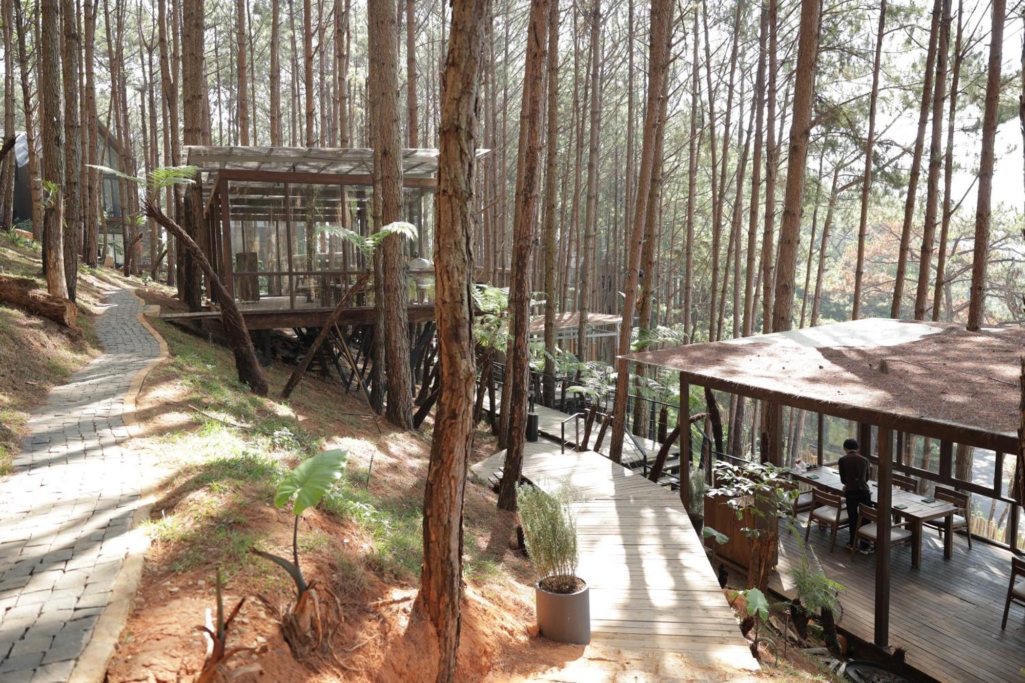 Mo Stay - Forest Resort 달랏 외부 사진