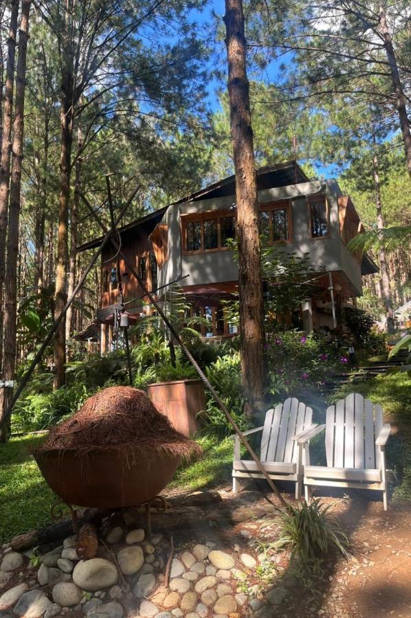 Mo Stay - Forest Resort 달랏 외부 사진