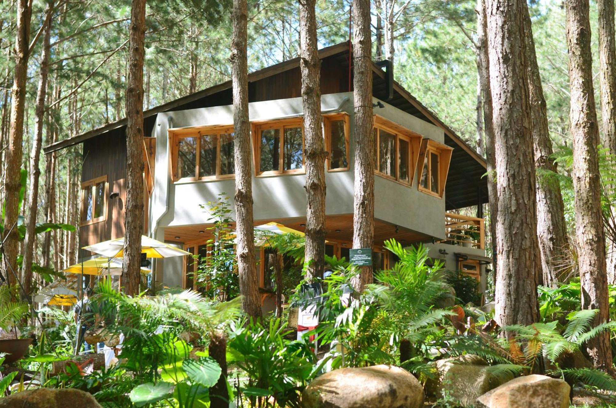 Mo Stay - Forest Resort 달랏 외부 사진
