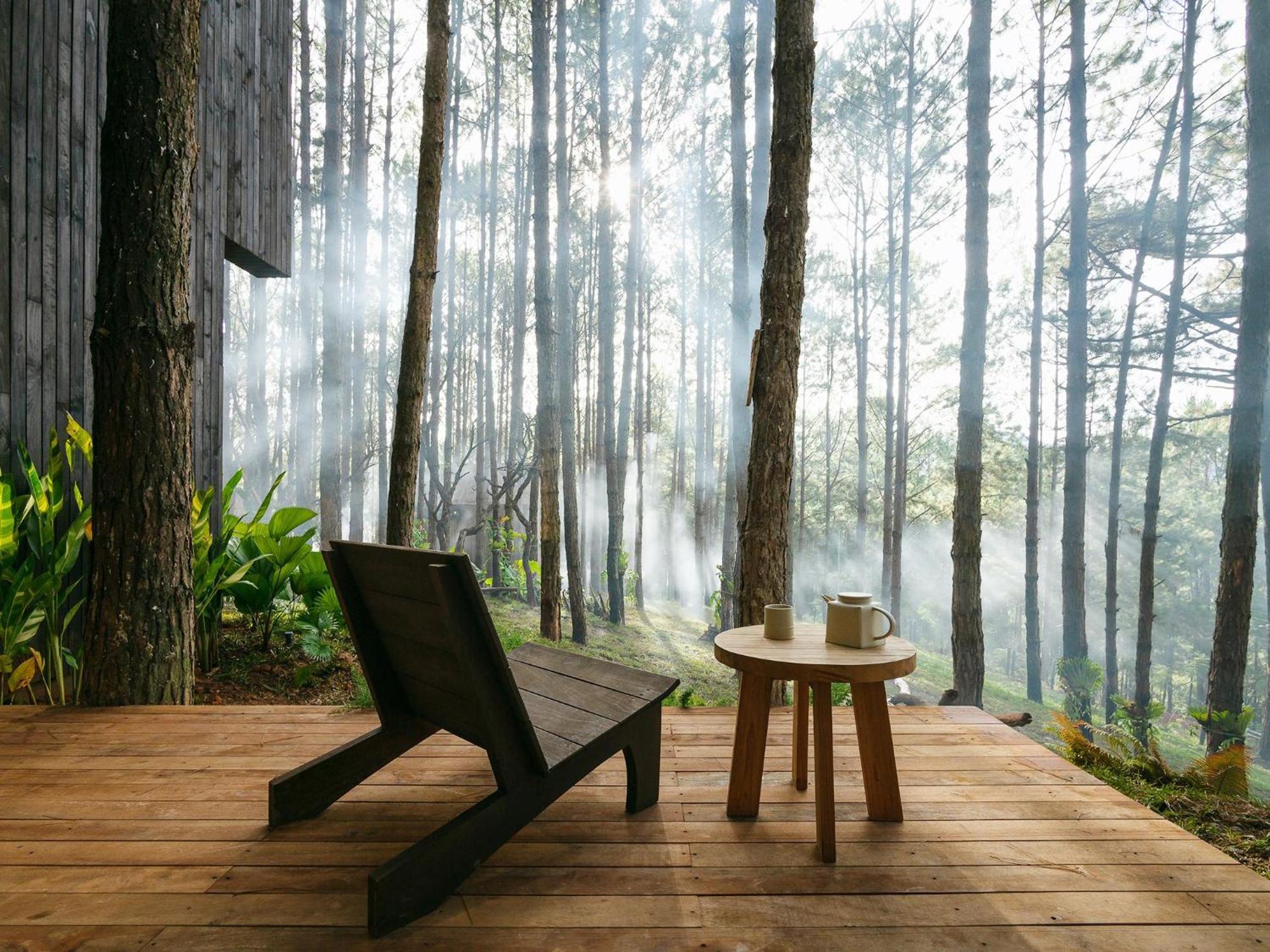 Mo Stay - Forest Resort 달랏 외부 사진