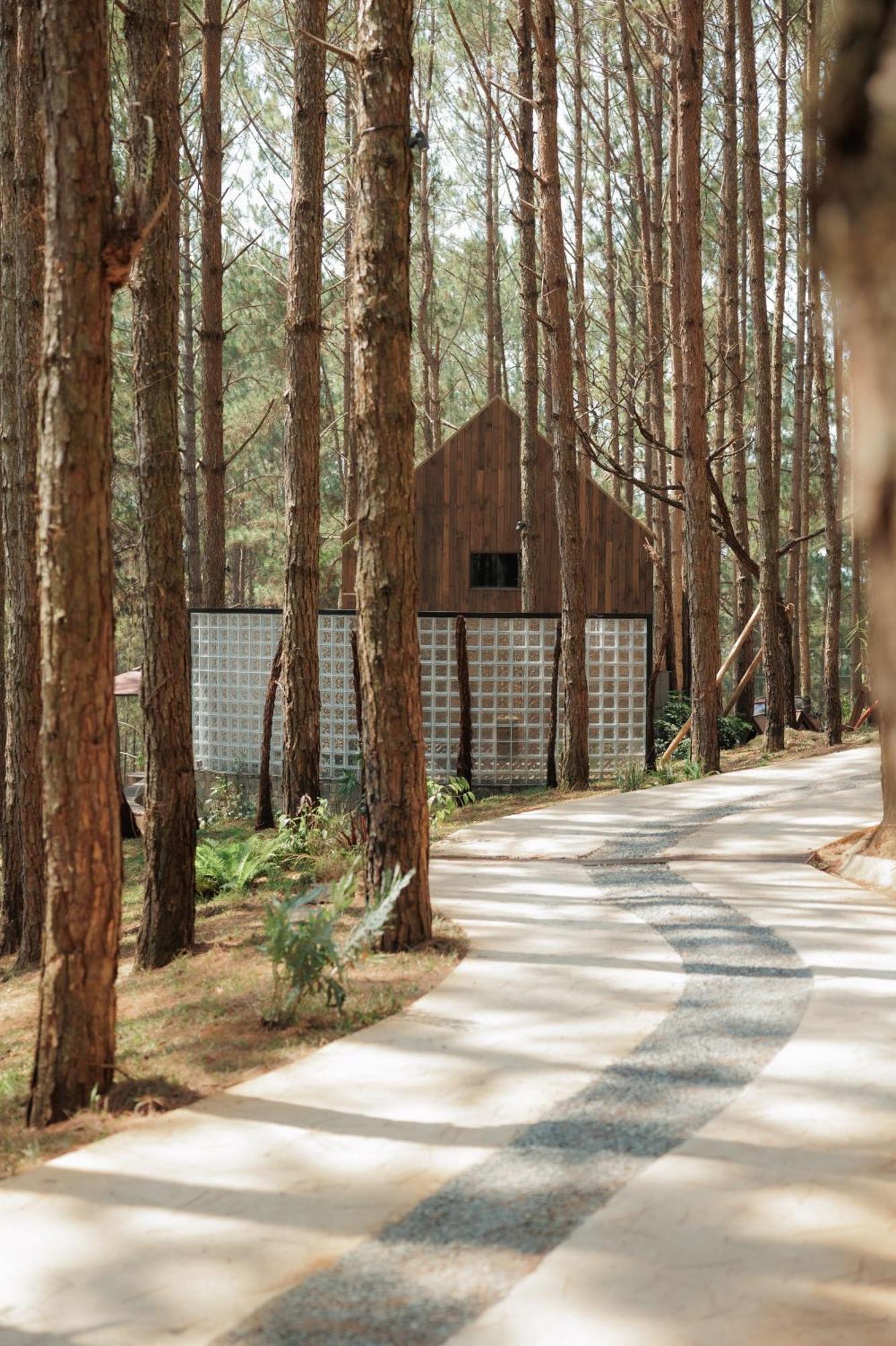 Mo Stay - Forest Resort 달랏 외부 사진