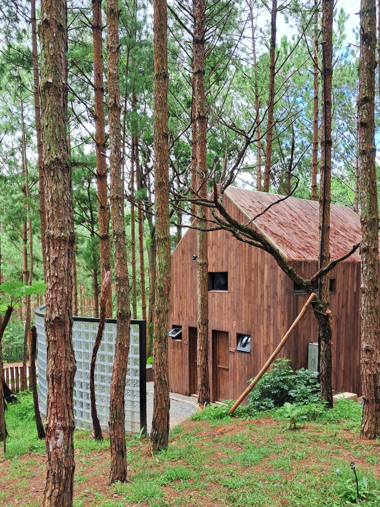 Mo Stay - Forest Resort 달랏 외부 사진